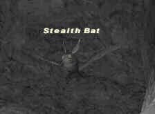 Stealth Bat Picture